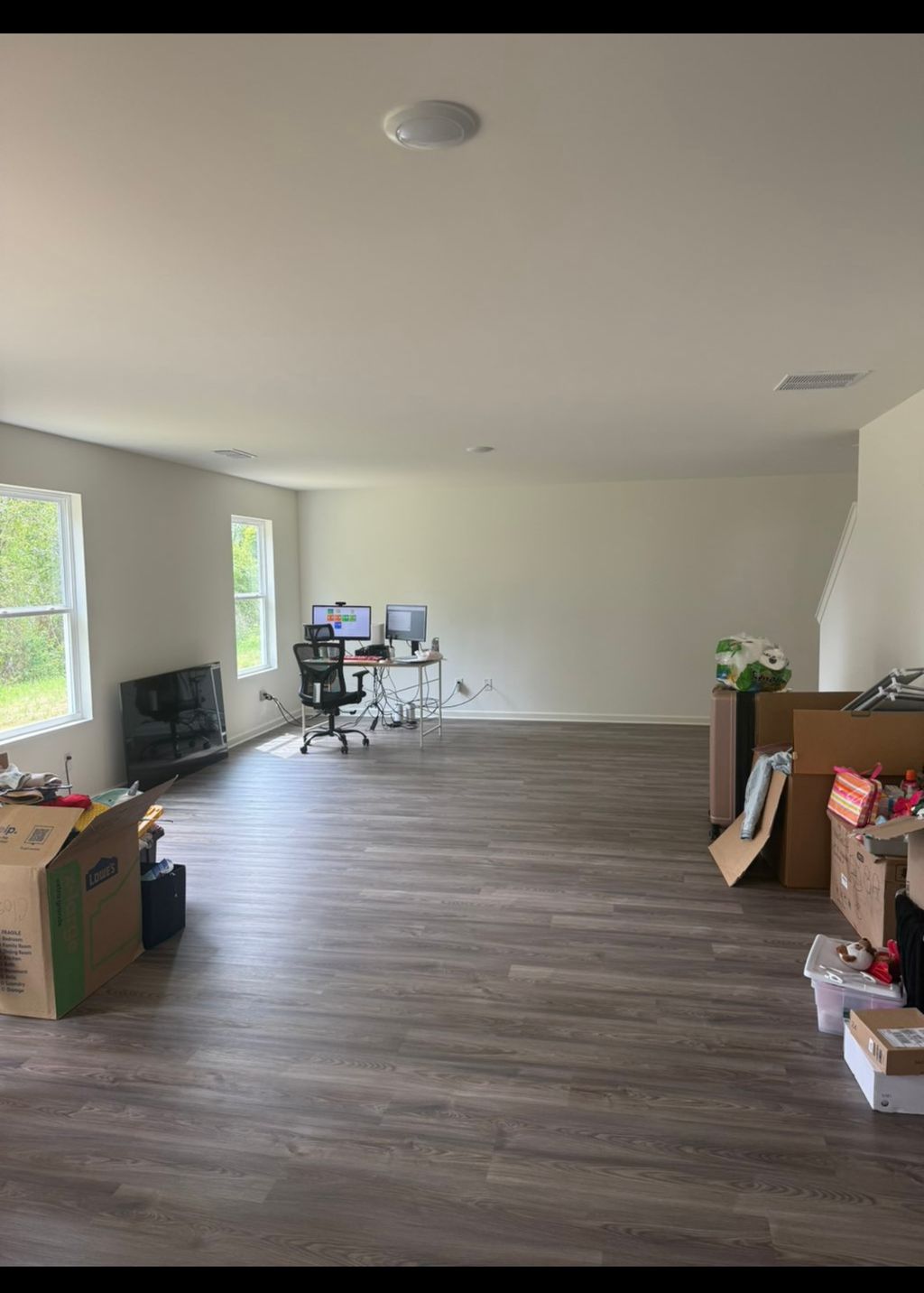 Projects and media