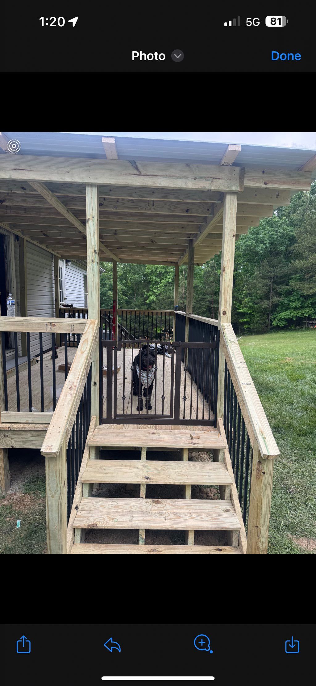 Installed railing, steps, and door for dog 