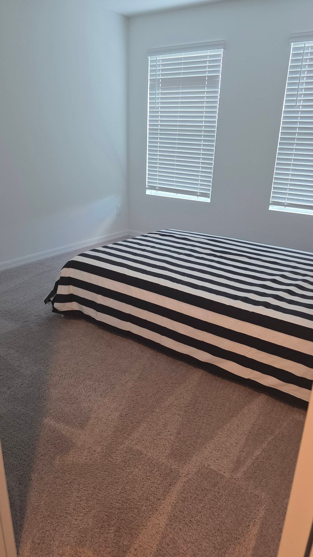 painting and carpet cleaning
