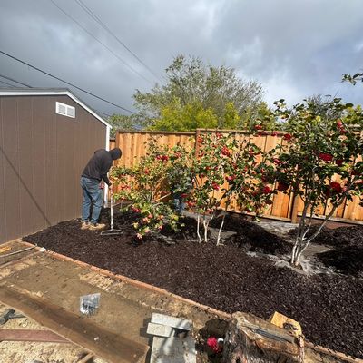 Avatar for general gardening services