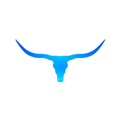 Avatar for Bullhorn Remodeling and Construction
