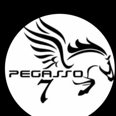 Avatar for Pegasso7LLC.