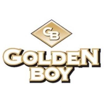 Avatar for GoldenBoy Tile Inc