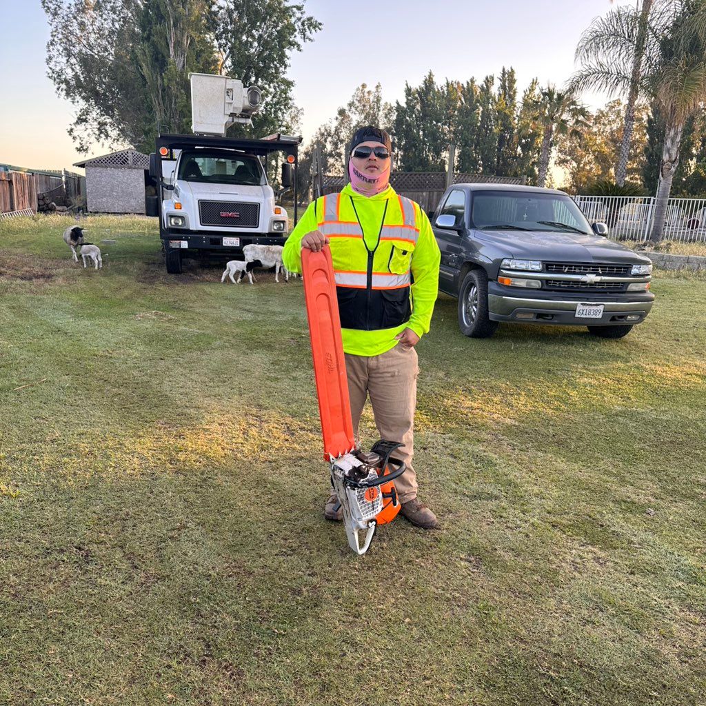 Monterey Tree Service
