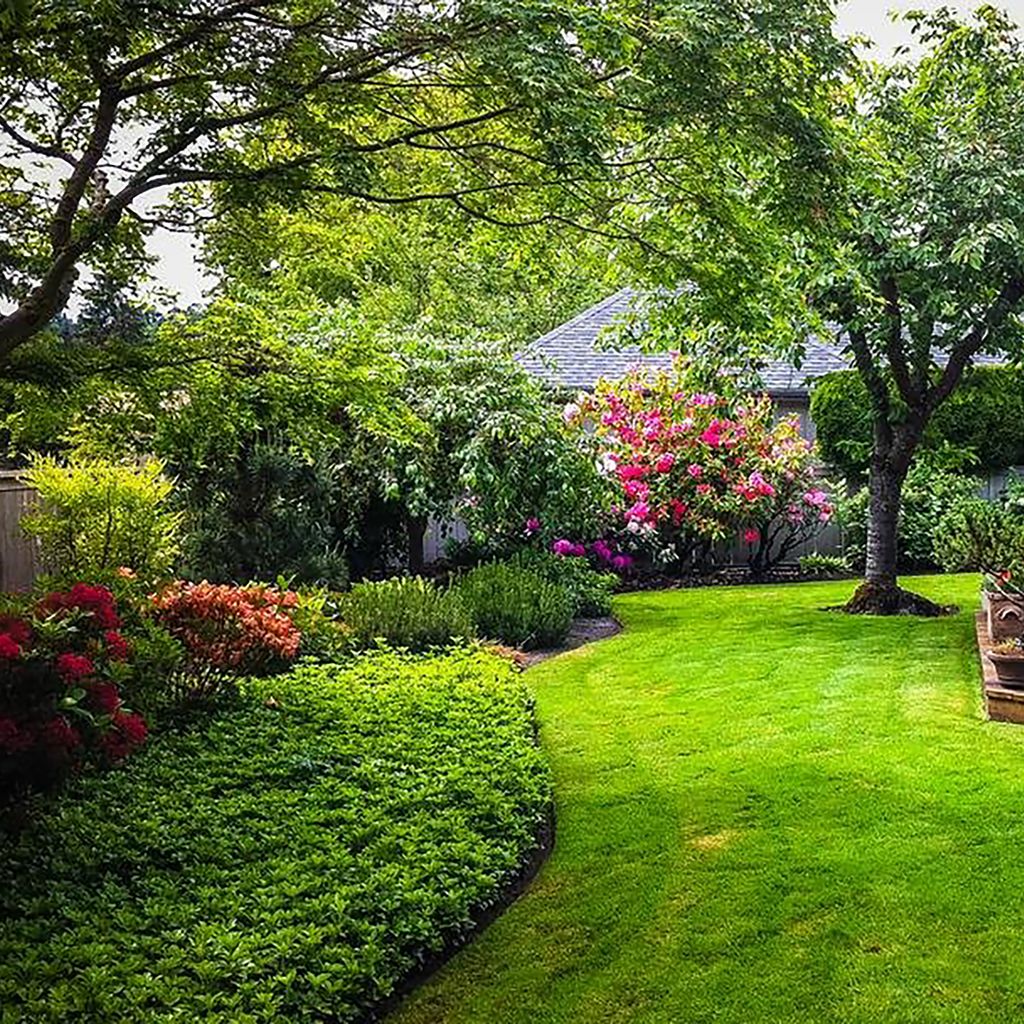 Private Back Yard