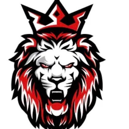 King pro construction corp