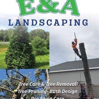 Avatar for High Mountain  Tree Service & Hardscape LLC