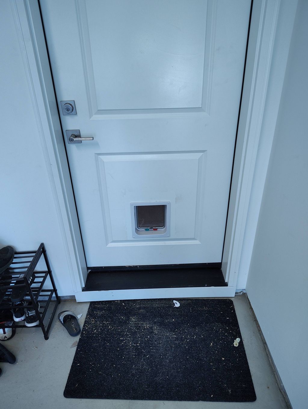 installed kitty cat door