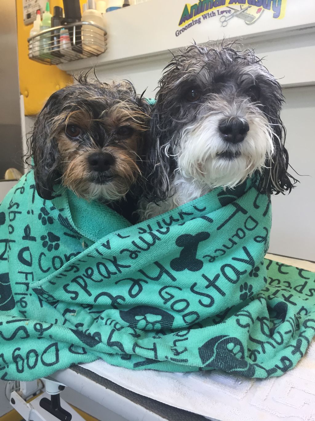 Just took a bath together!