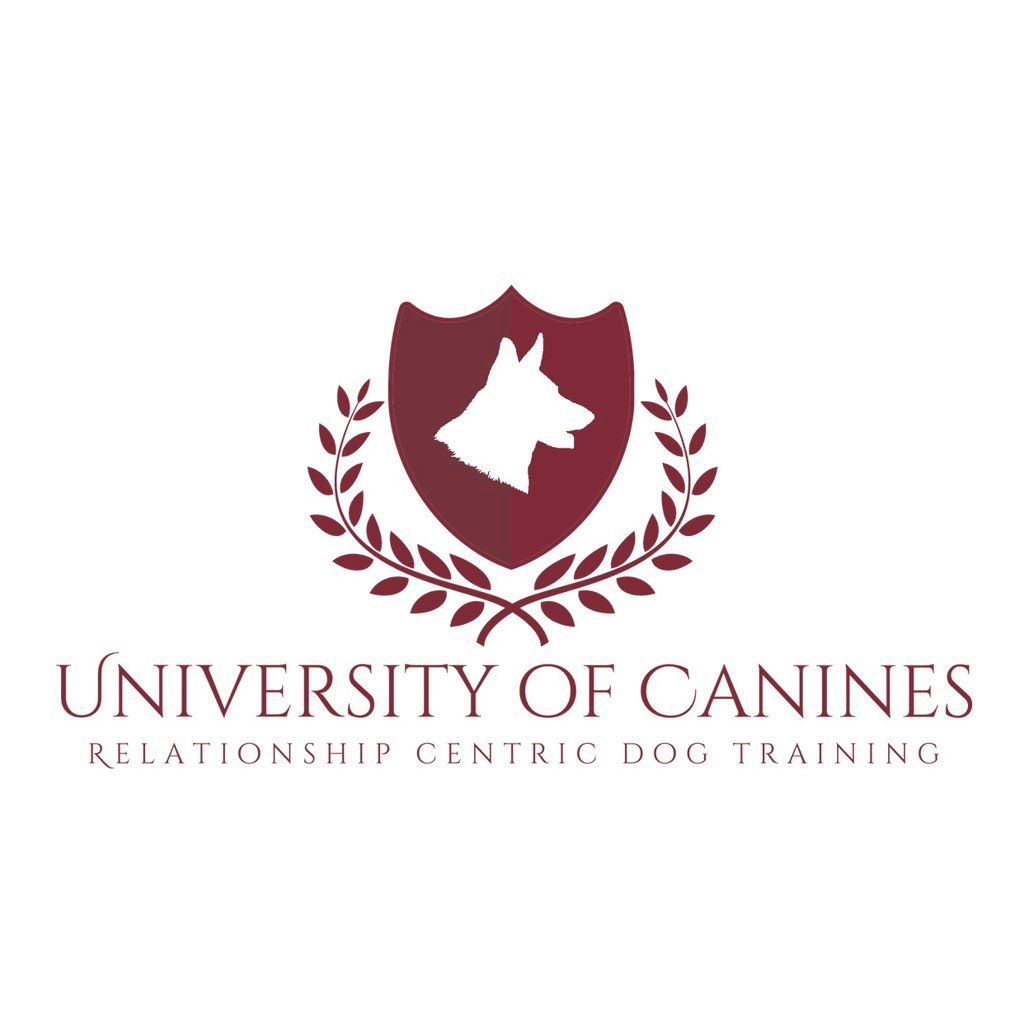 University of Canines
