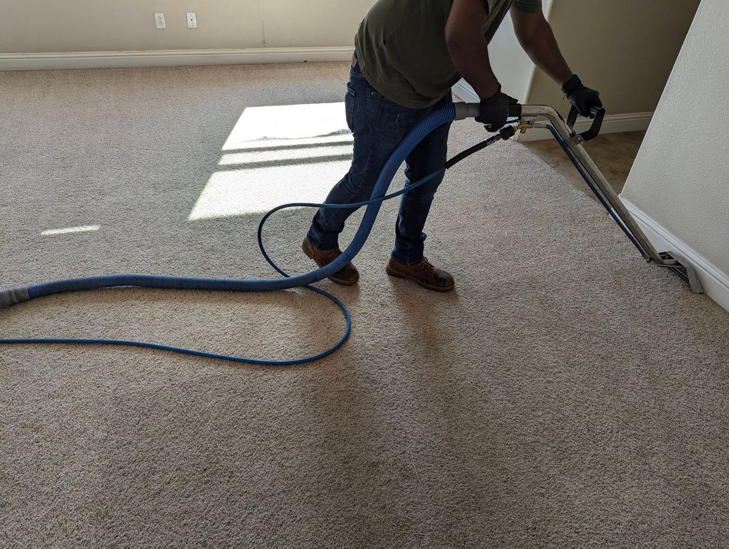 Carpet steam cleaning