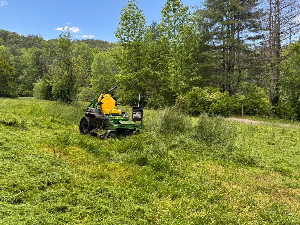 2-3’ height lawn