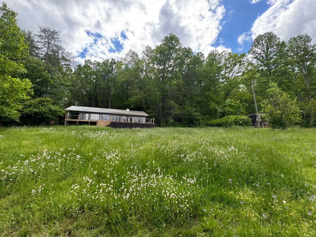 2-3’ high lawn