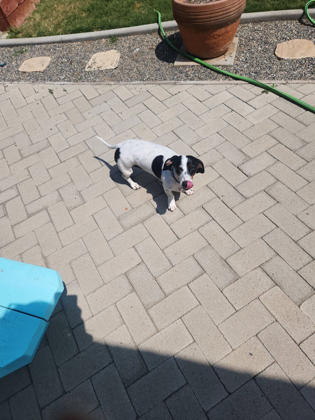 Tucker
