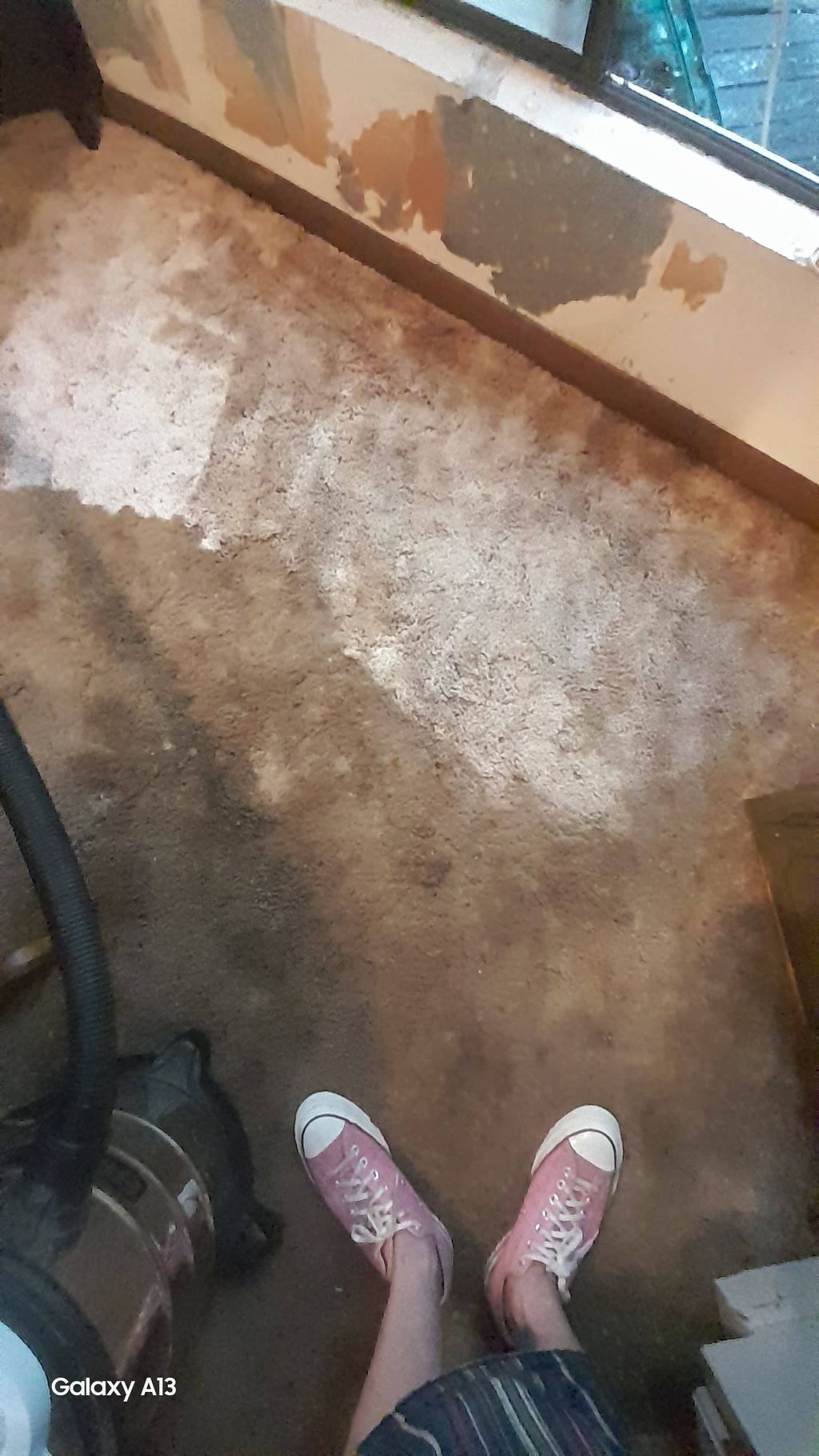cleaning a feces covered carpet. It's looking bett