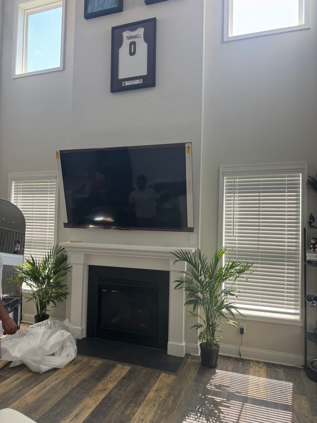 Projects and media