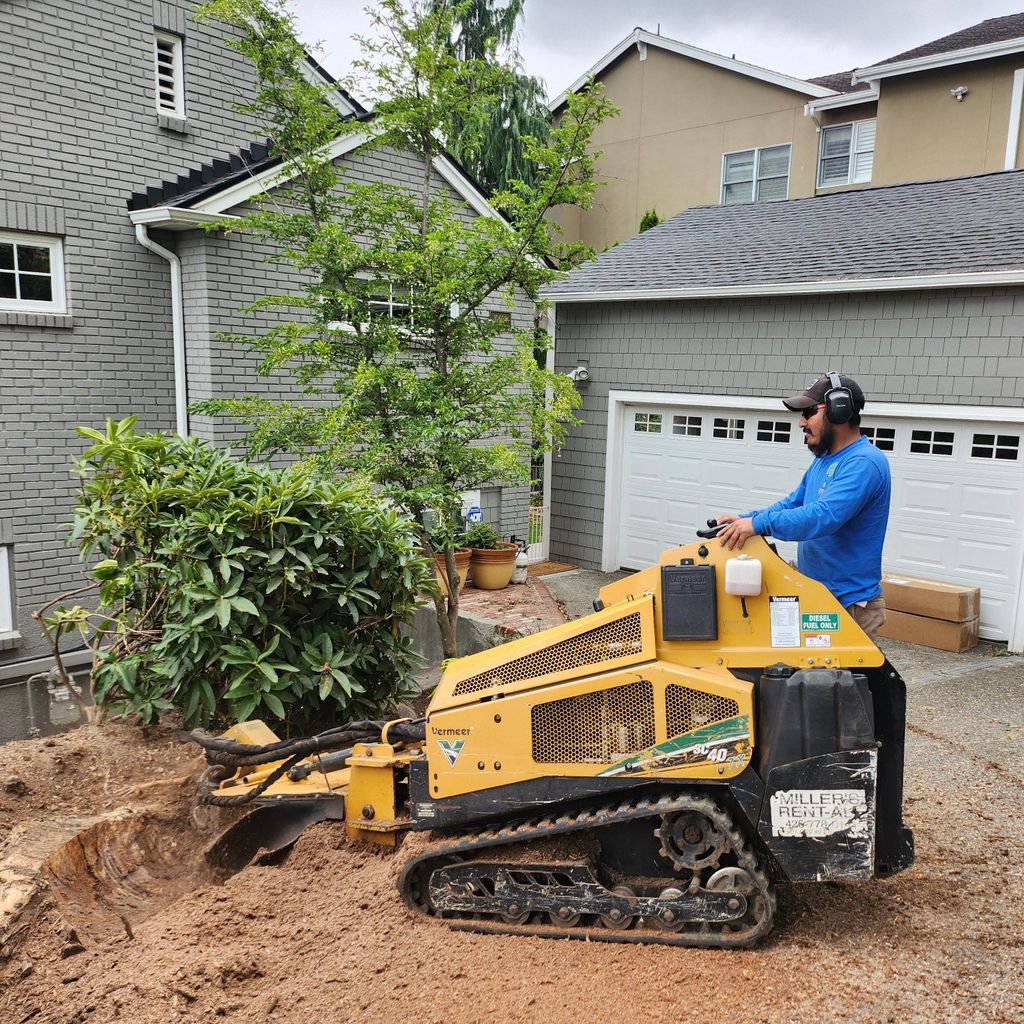 Family Lawn Care