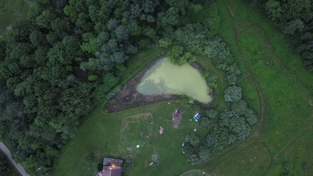 before picture of a pond cleanout in Apalachin, NY