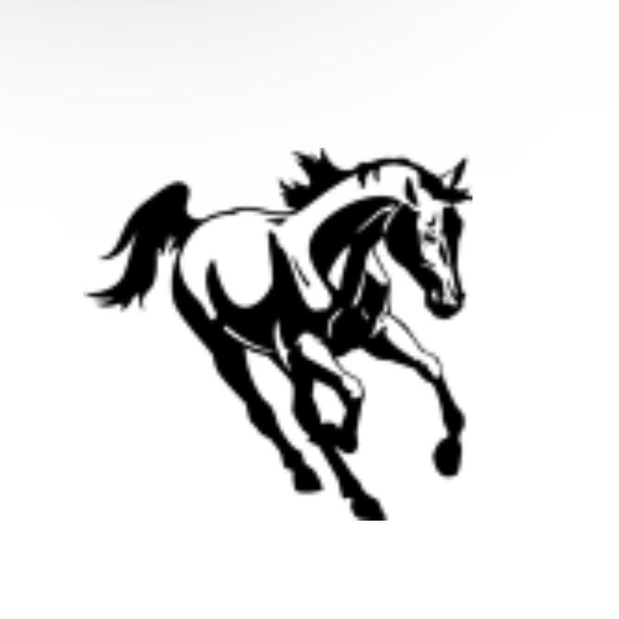 Stallion Coatings