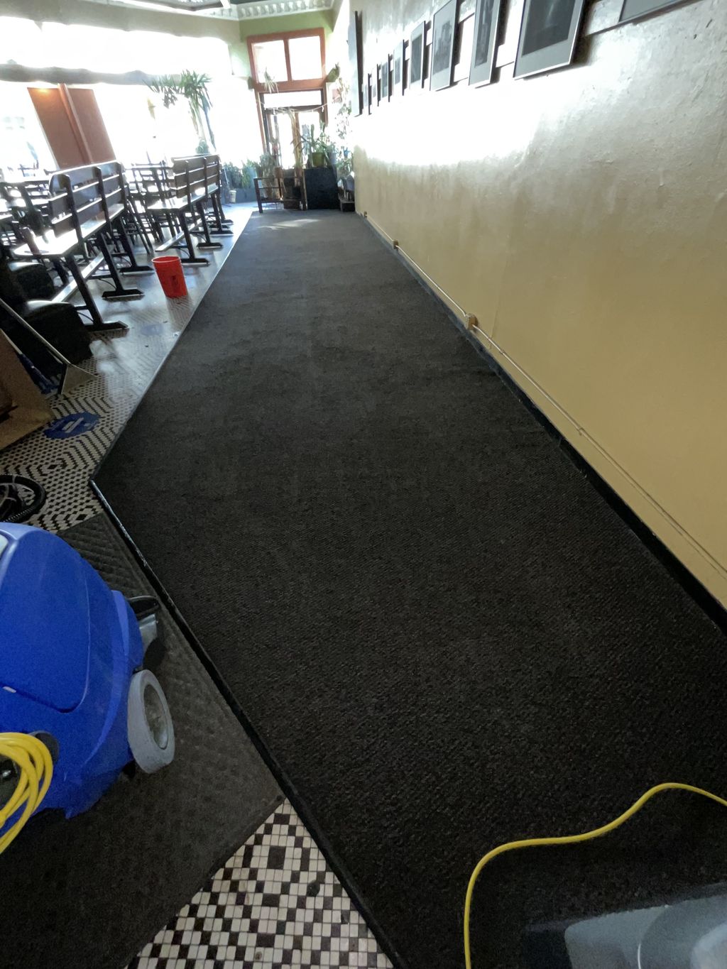Carpet Extraction