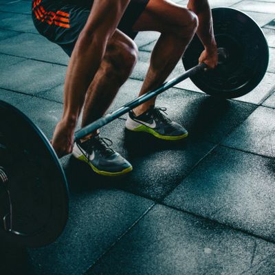 Avatar for Personal Training By Donnie Tonelli