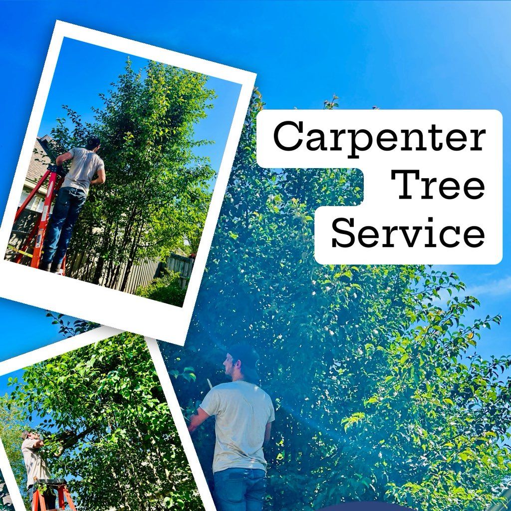 Carpenter Tree Service