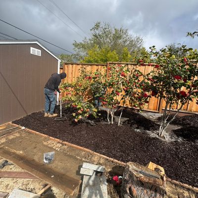 Avatar for general gardening services