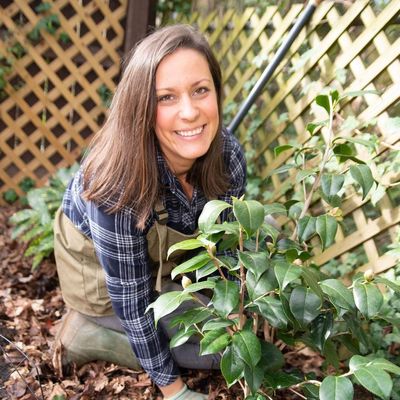 Avatar for Barefoot Garden Design