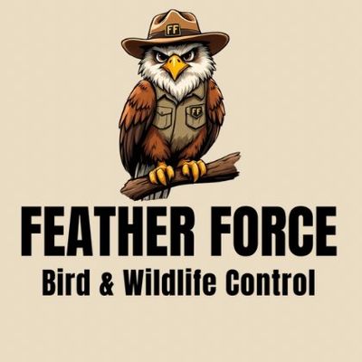Avatar for Feather Force