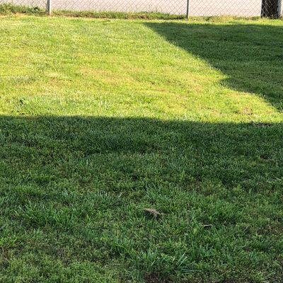Avatar for Jadens lawn care