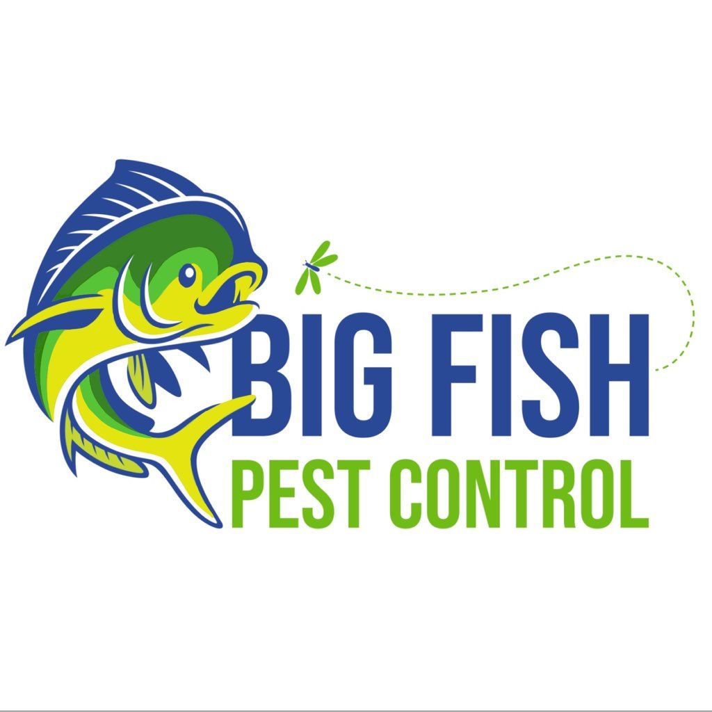 Big Fish Pest Control