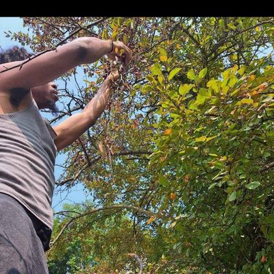 Avatar for Top notch Lawn Care and Gardening