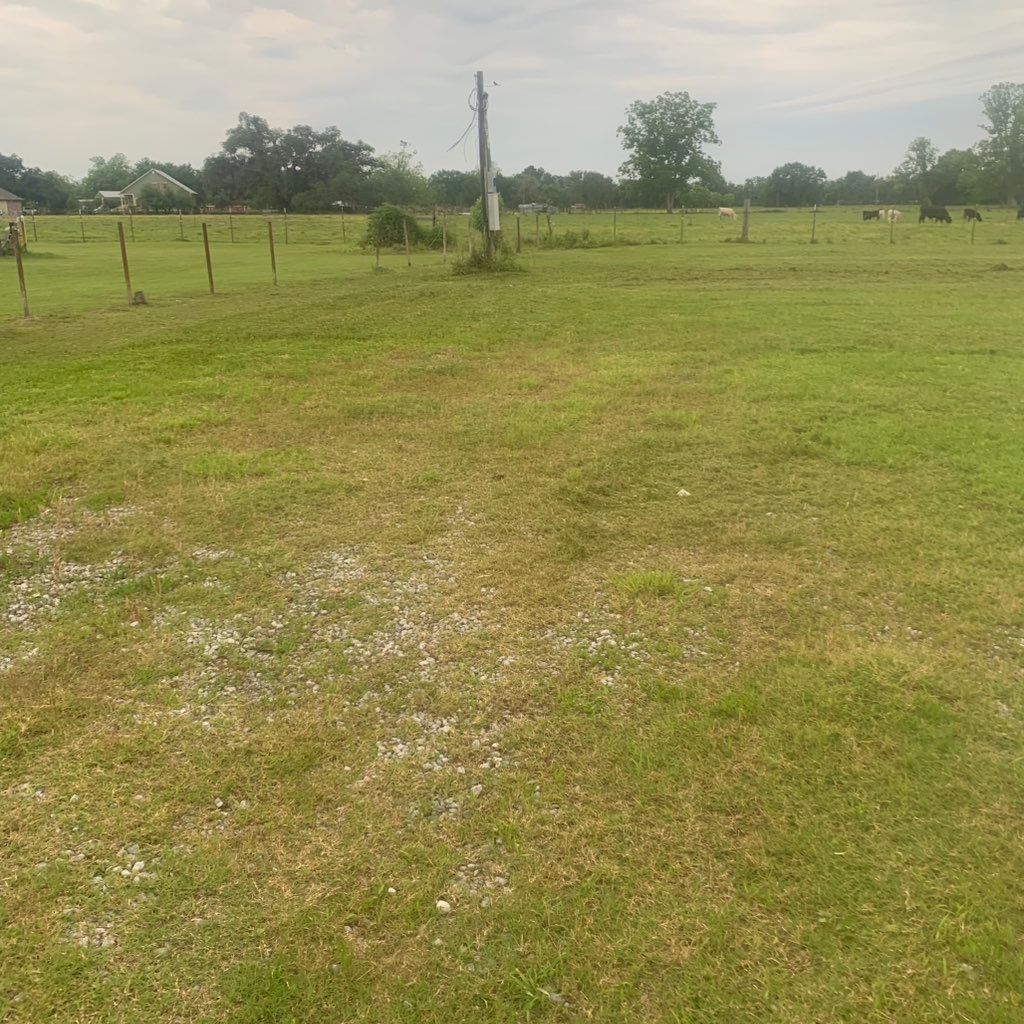 Rogers lawn care