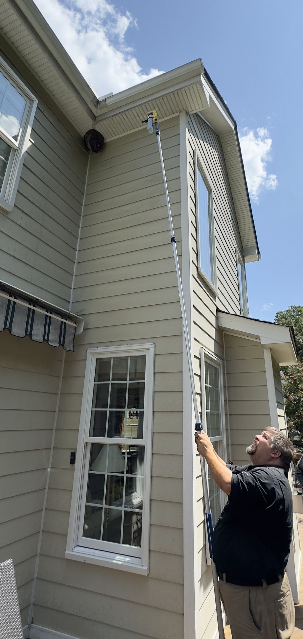 Wasp Nest Treatment and Removal