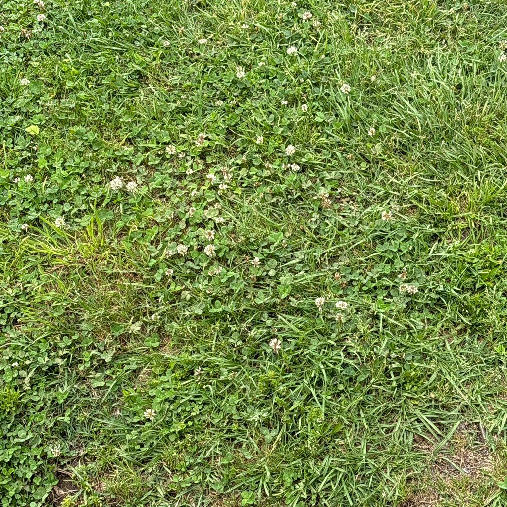 ST Lawn Junk And Moving