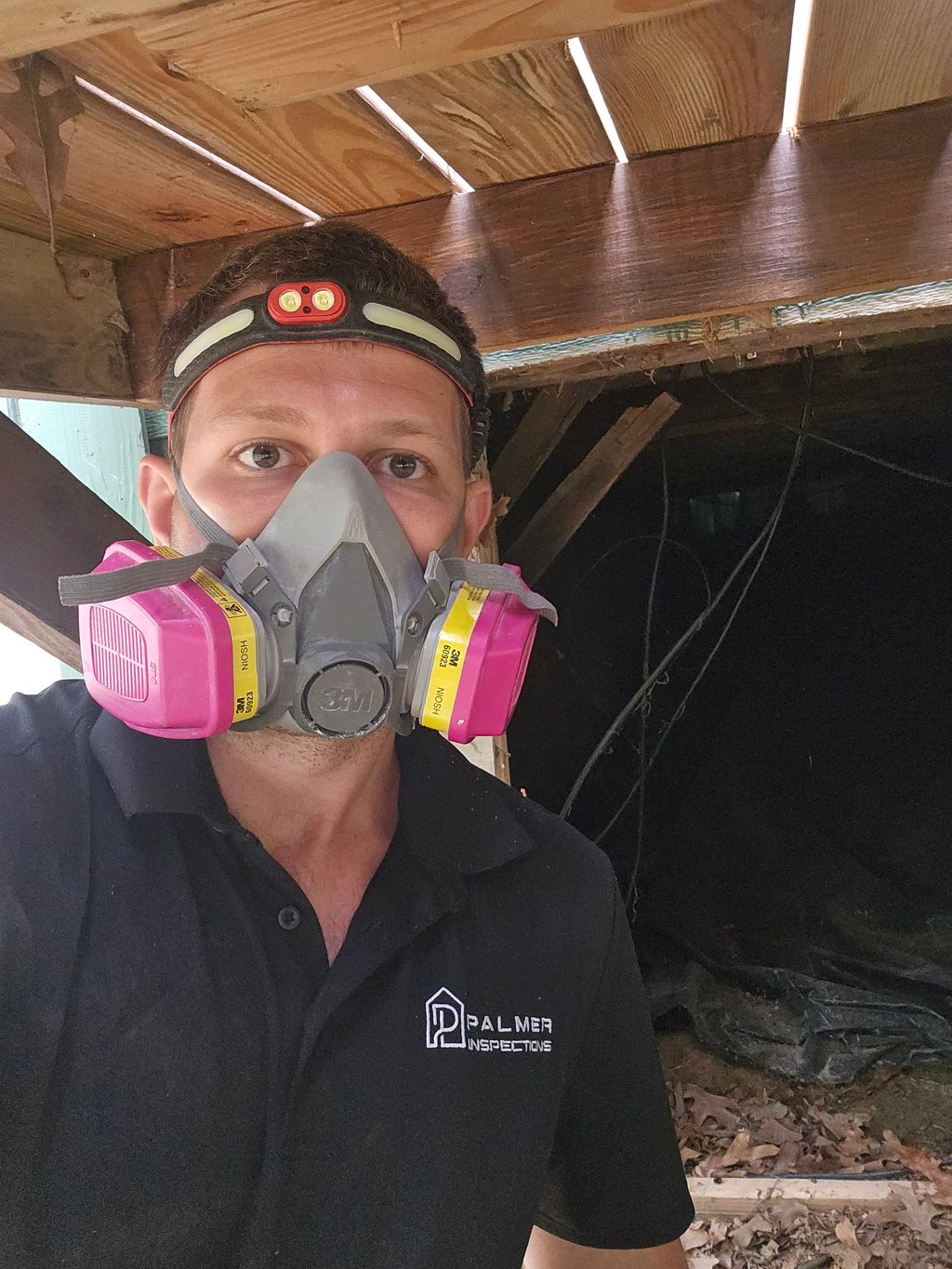Crawlspace Inspection