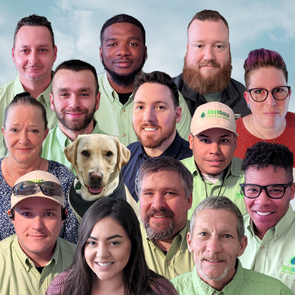 Our Team