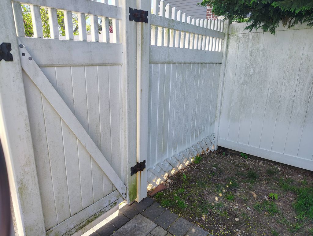 fence covered in organic growth Before we hit it w