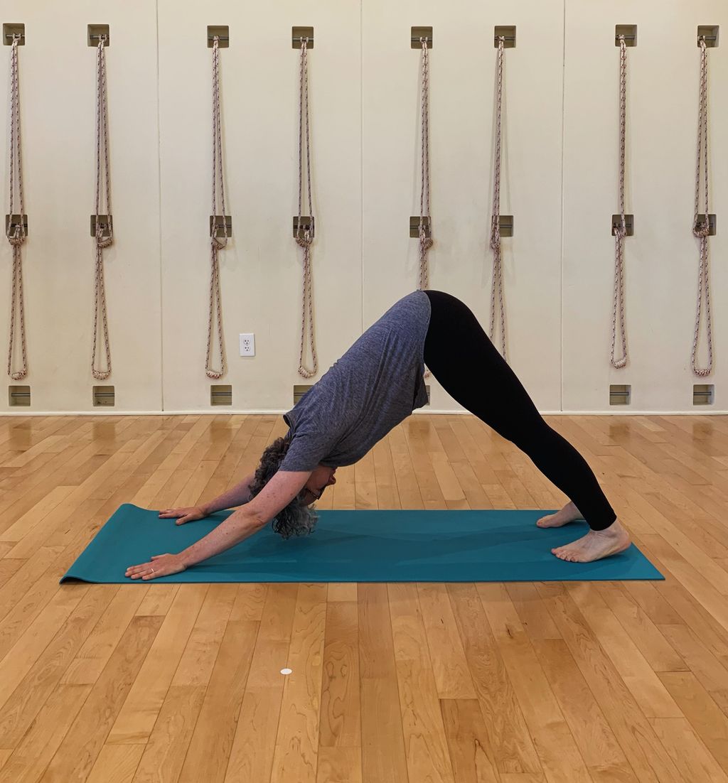 Adho Mukha Svanasana (Downward-facing dog pose)