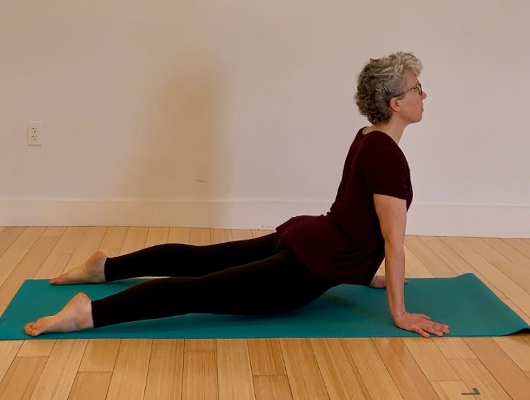 Urdhva Mukha Svanasana (Upward-Facing Dog Pose)