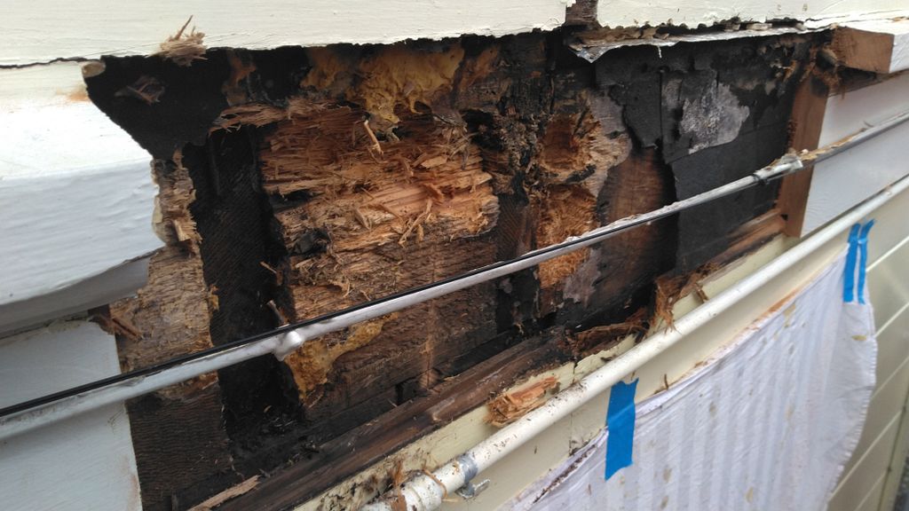 1 Rotted siding & trim