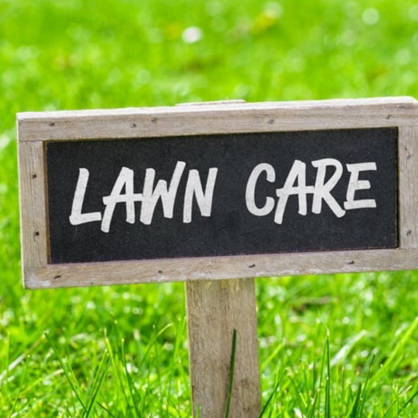Bro Phelps Lawn Care Services