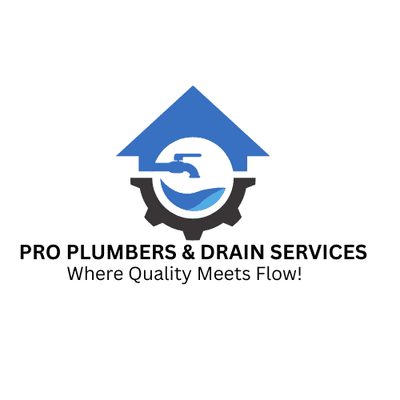Avatar for Pro Plumbers & Drain services