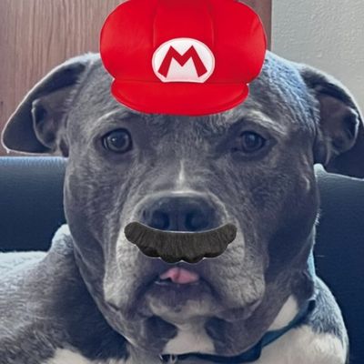 Avatar for Diesel Drains