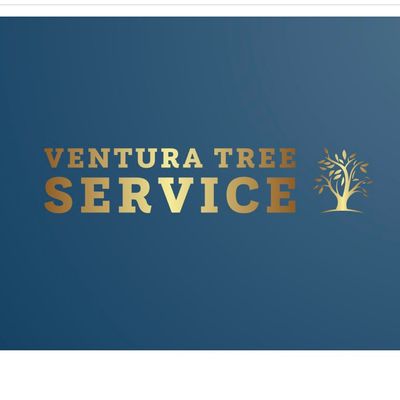 Avatar for Ventura tree service & landscaping service inc