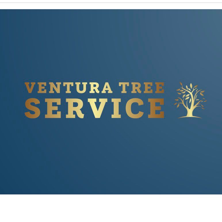 Ventura tree service & landscaping service inc