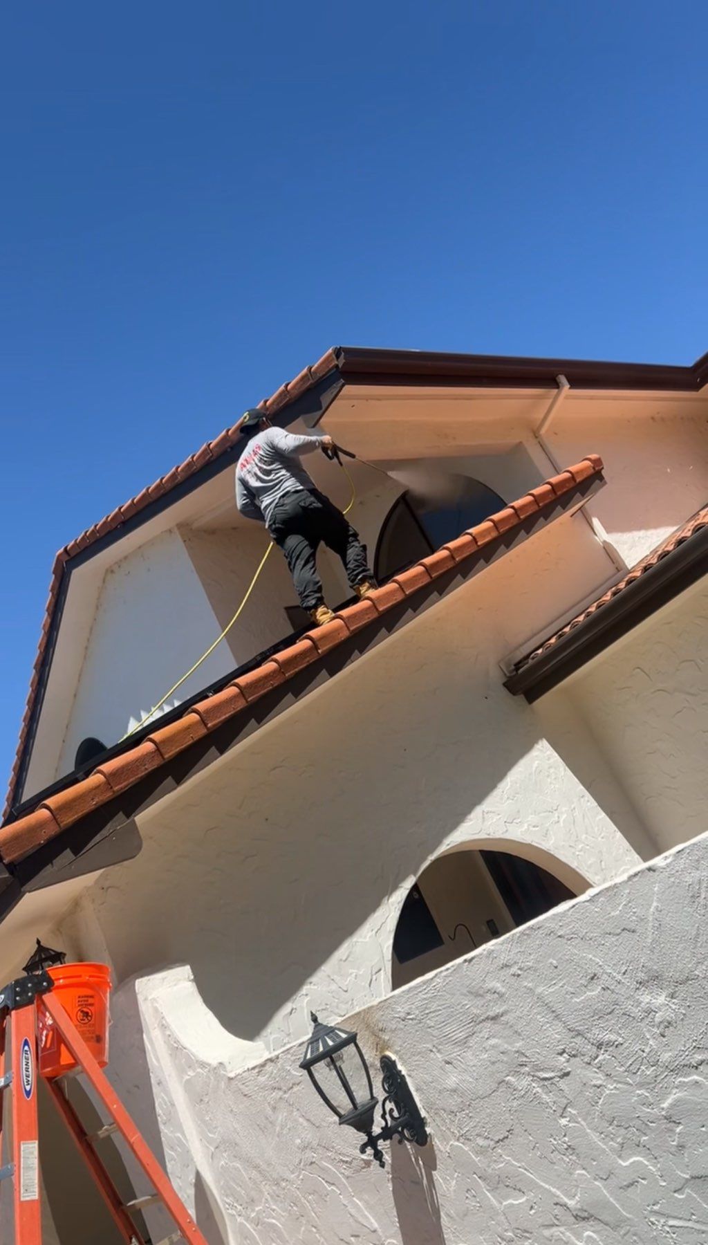 Roof and solar panel cleaning. 