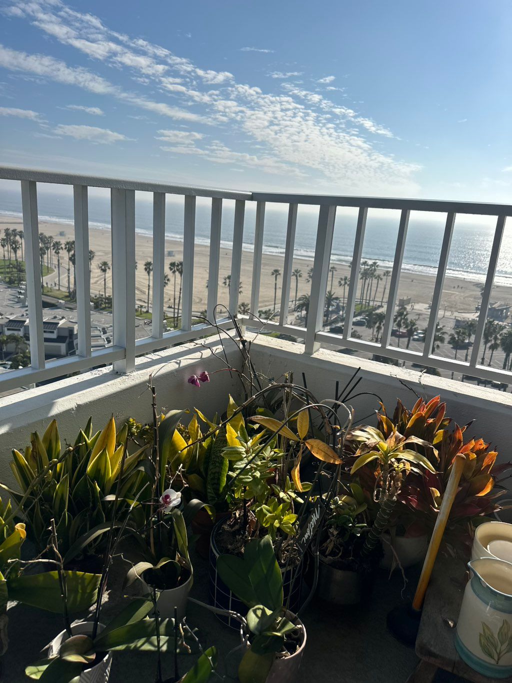 Santa Monica 🌅
