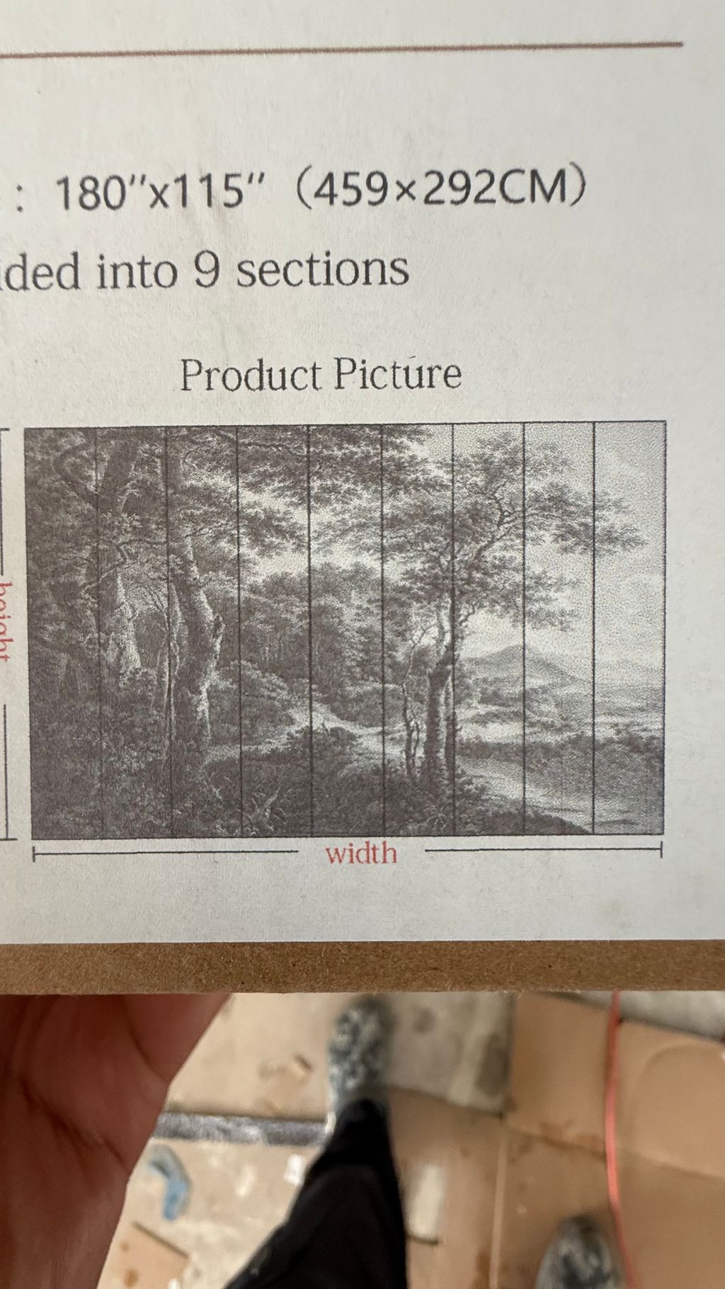 Projects and media