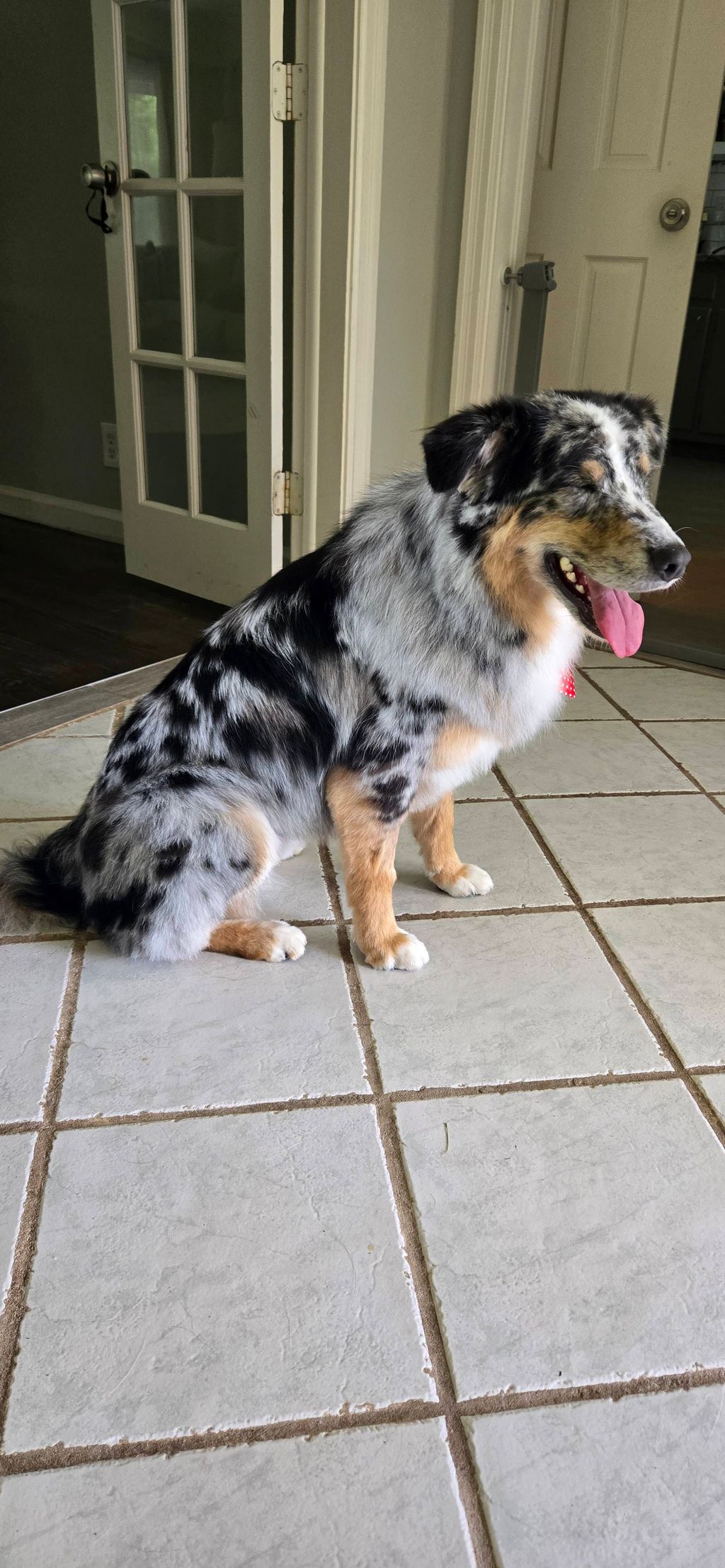 Customer photos